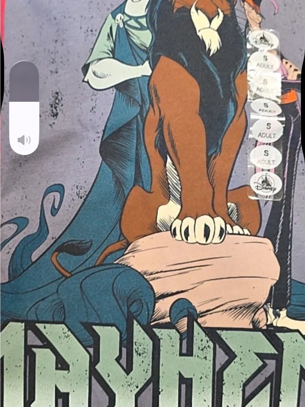 Disney Short Sleeve Tee — Brown Lion with Teal Cloak and Black Mane